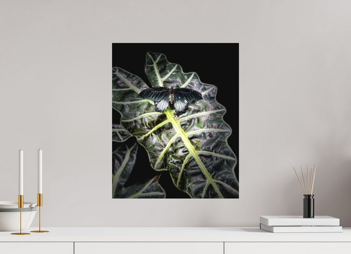 16 x 19.6″, Print on Aluminum Dibon no Glass Veins of Light