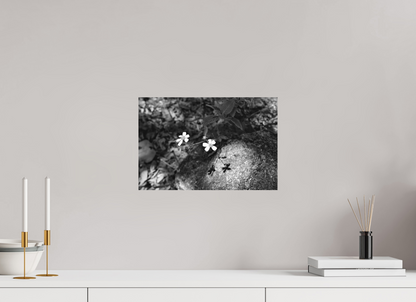 Small Miracles — 15 x 10″ room mockup; finish varies by configuration.