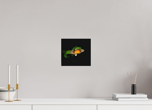 8.7 x 8″, Print on Aluminum Dibon no Glass Monarch's Pause