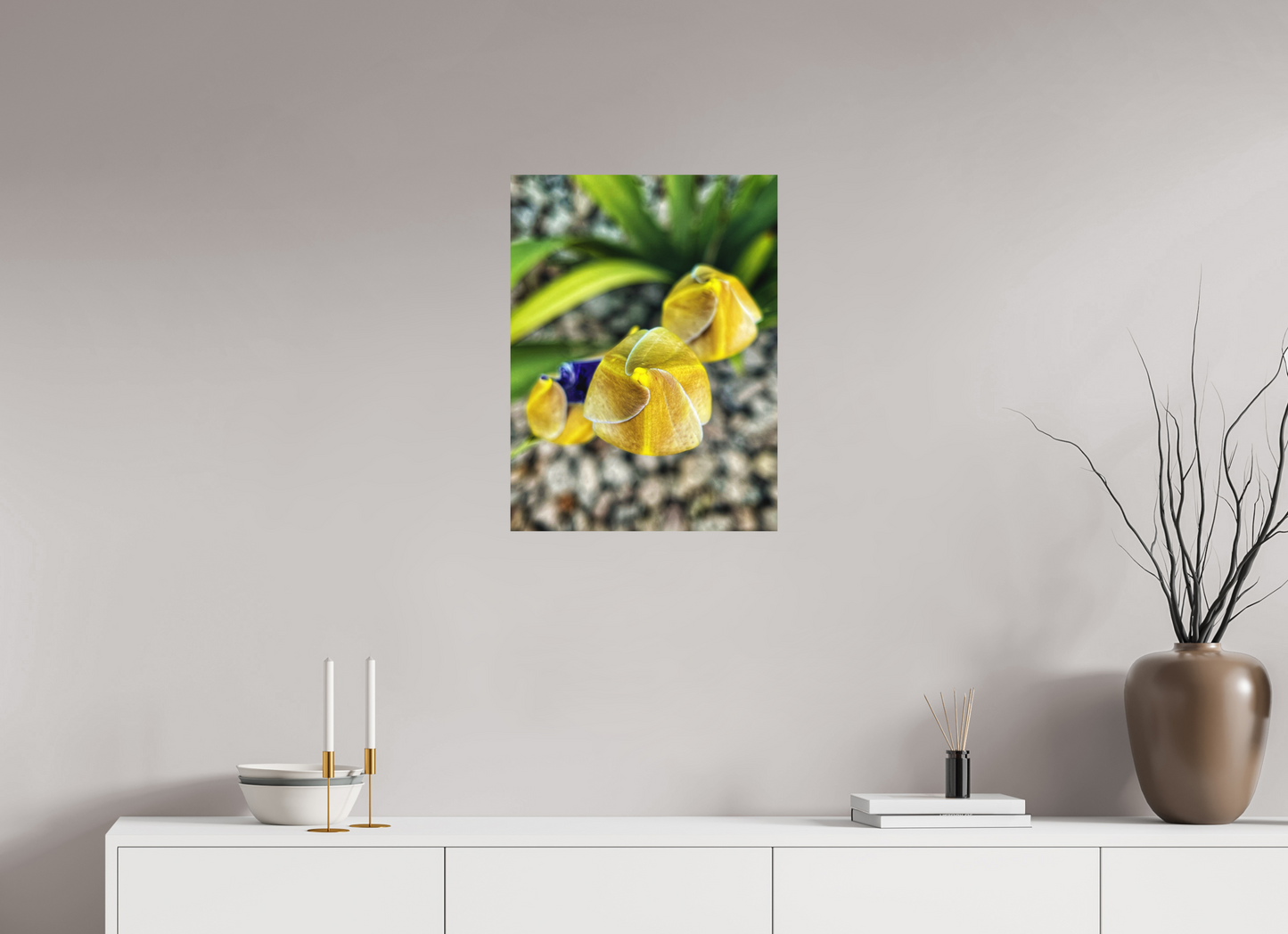 18 x 24″, Print on Aluminum Dibon no Glass Golden Curiosity