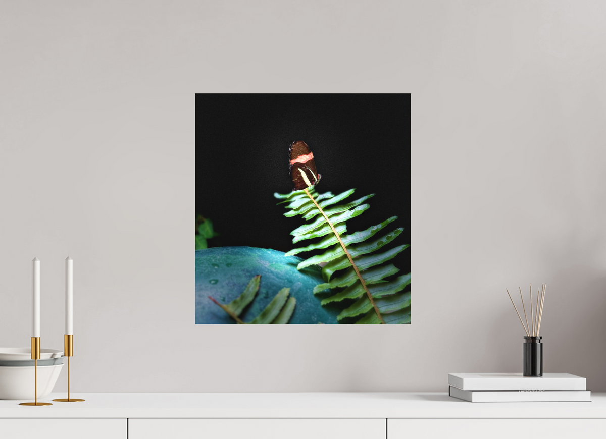 16 x 17.1″, Fine Art Print No Frame Fernlight