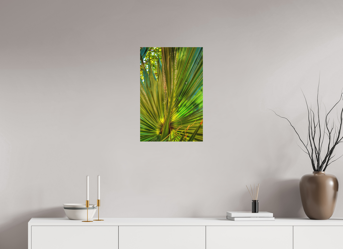 16 x 24″, Fine Art Print No Frame Cathedral of Palms