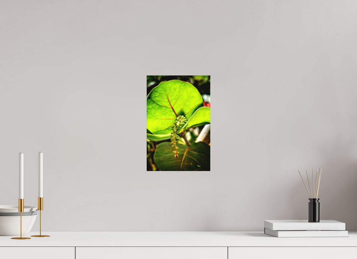 8 x 12″, Fine Art Print No Frame Quiet Abundance