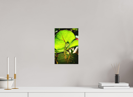 8 x 12″, Fine Art Print No Frame Quiet Abundance