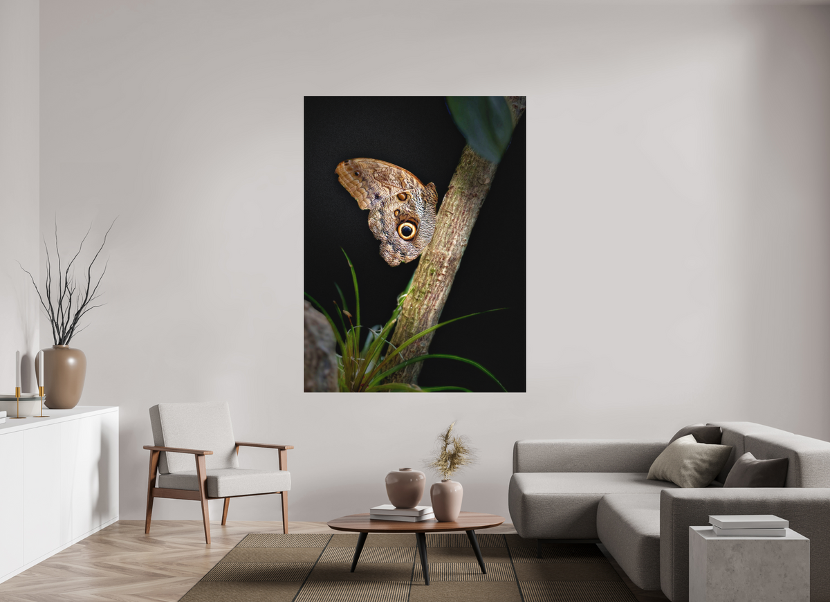 54 x 72″, Print on Aluminum Dibon no Glass Keeper of the Branch