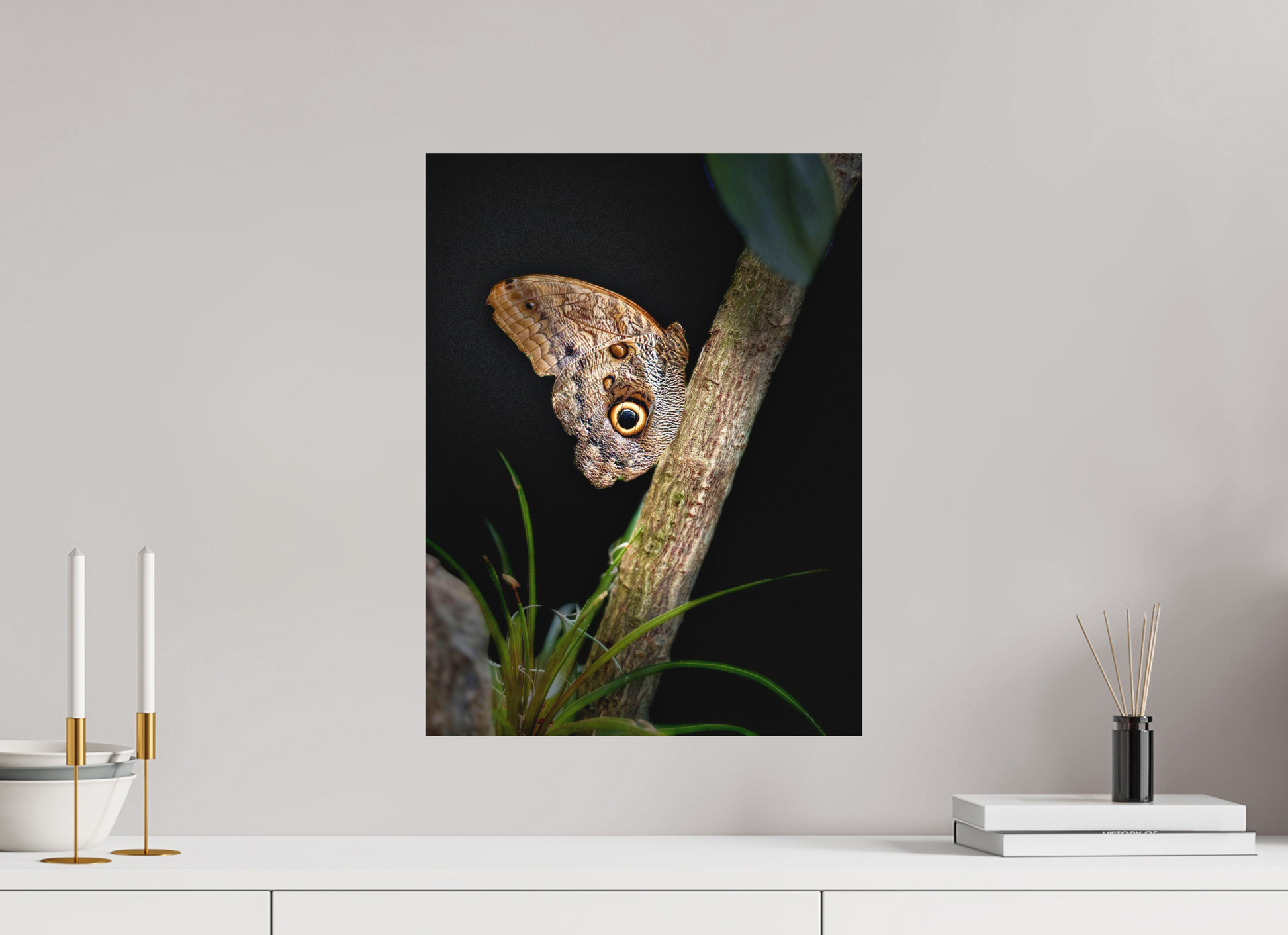 15 x 20″, Print on Aluminum Dibon no Glass Keeper of the Branch