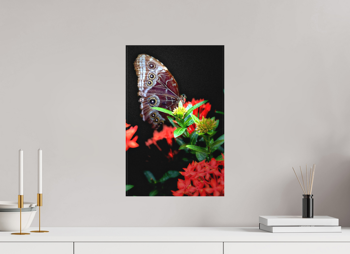 12 x 18.6″, Matte Canvas no Frame Midnight Visitor