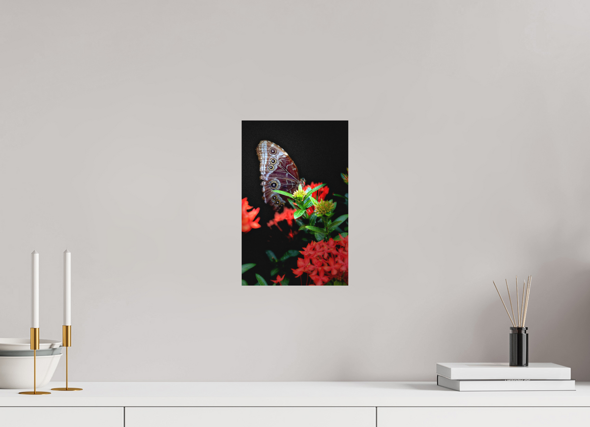 8 x 12.4″, Print on Aluminum Dibon no Glass Midnight Visitor