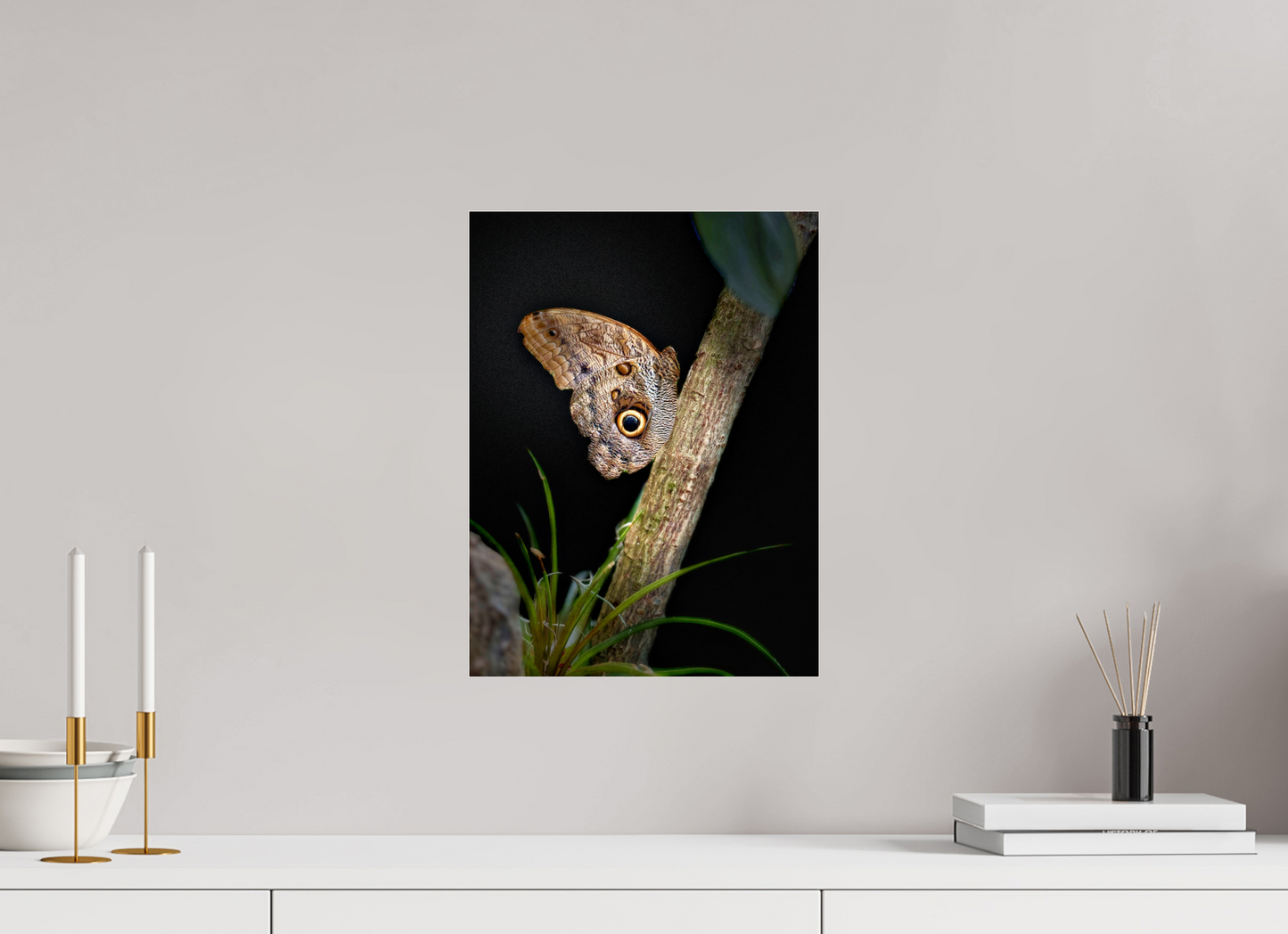 12 x 16″, Fuji Crystal Paper under Acrylic Glass no Frame Keeper of the Branch