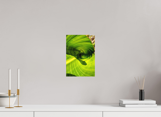 8 x 11.6″, Fine Art Print No Frame The Inward Spiral