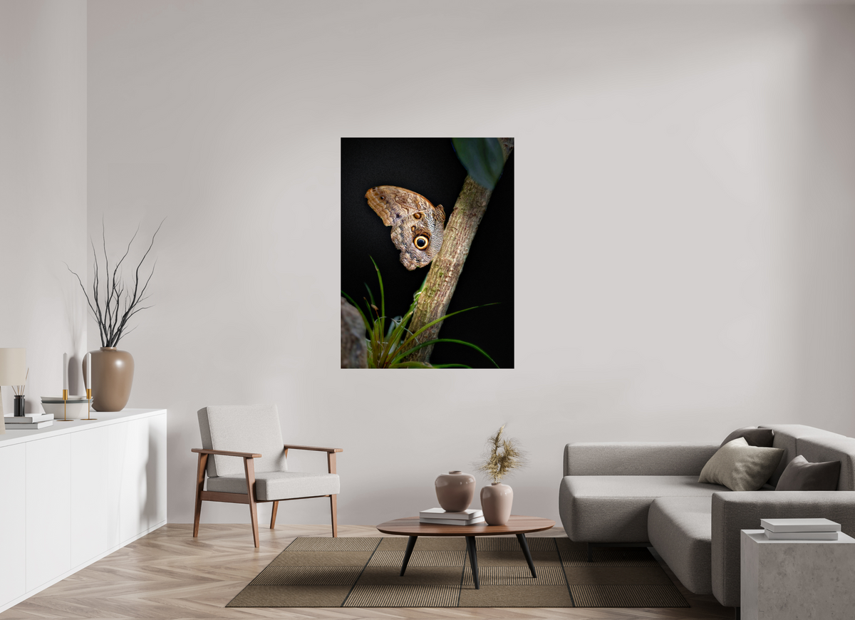 42 x 56″, Fuji Crystal Paper under Acrylic Glass no Frame Keeper of the Branch