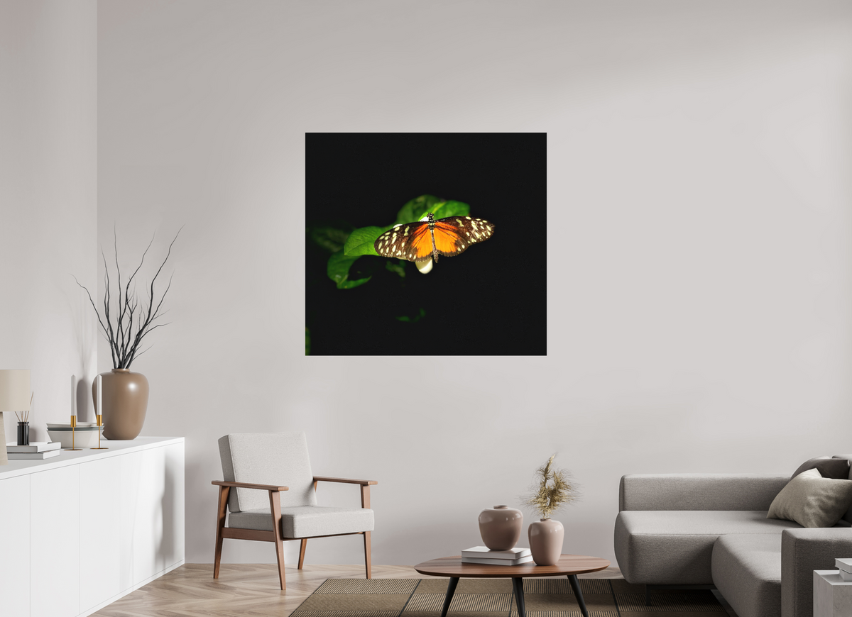 46.5 x 43″, Print on Aluminum Dibon no Glass Monarch's Pause