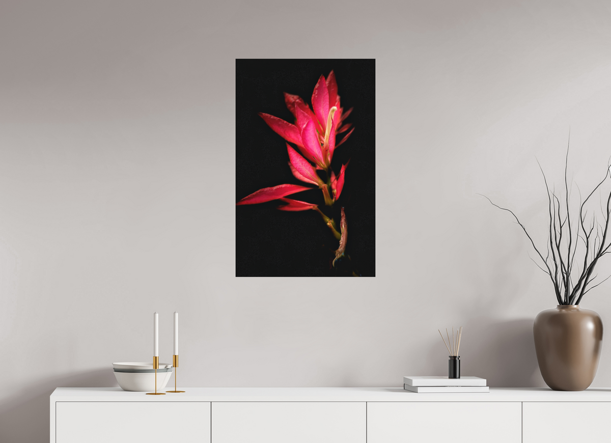 20 x 31.2″, Fine Art Print No Frame Scarlet Awakening