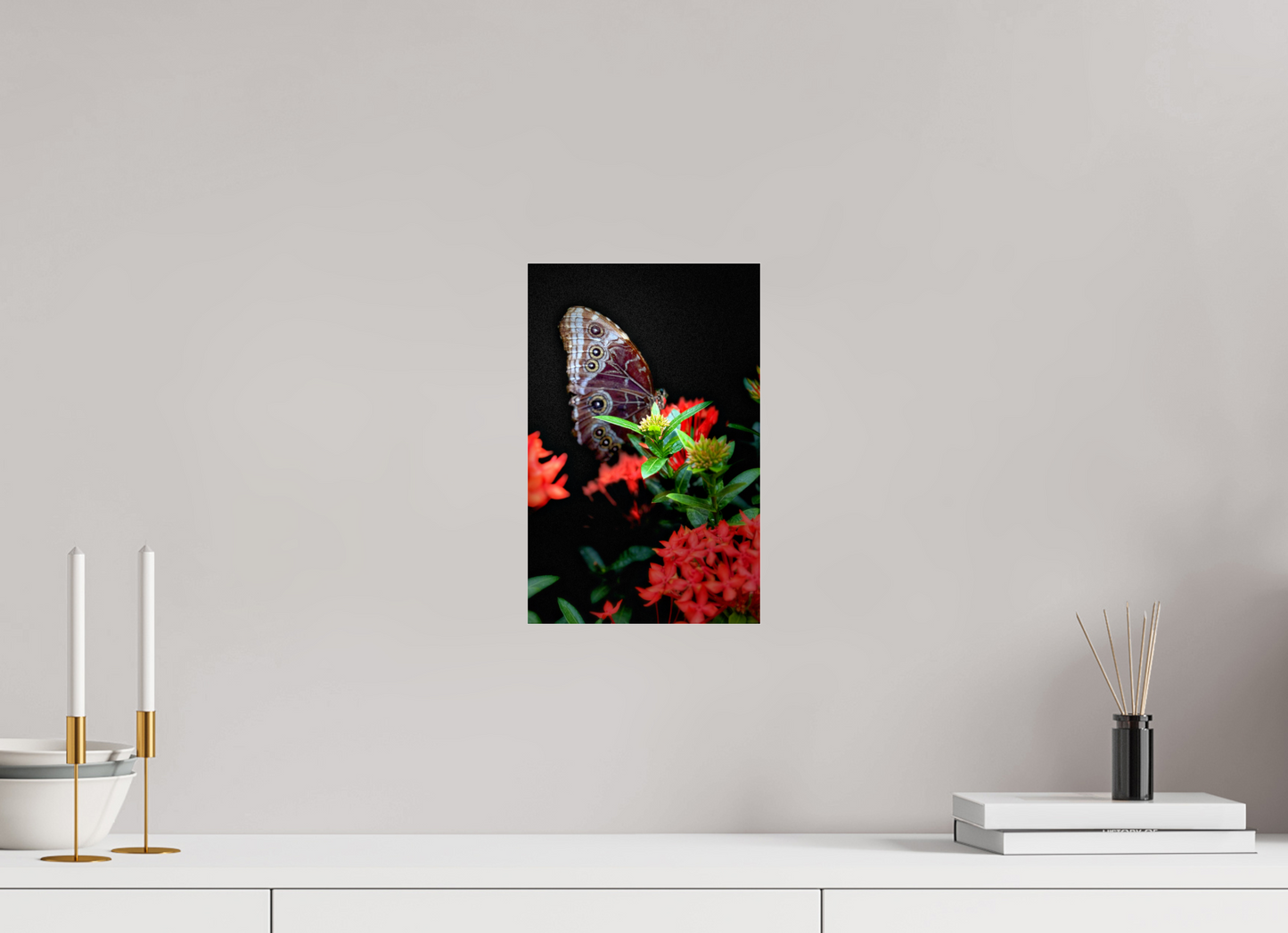 8 x 12.4″, Fuji Crystal Paper under Acrylic Glass no Frame Midnight Visitor